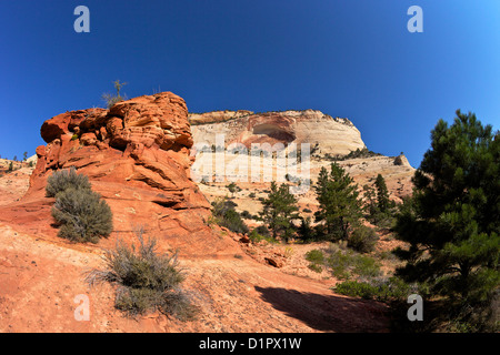 Il paesaggio del Parco Nazionale di Zion, Utah, Stati Uniti d'America Foto Stock
