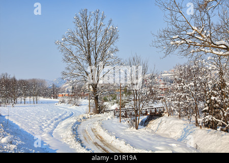 Strada stretta verso il grande albero e tracce sul campo coperto di neve sotto blu cielo invernale in Piemonte, Italia settentrionale. Foto Stock