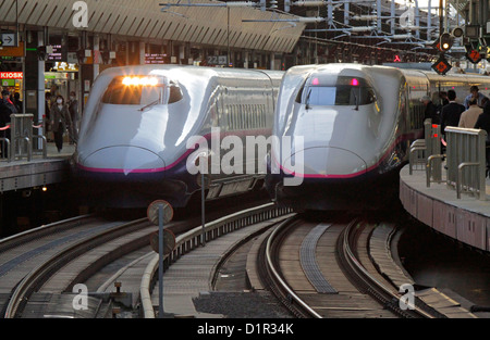 Il Tohoku Shinkansen E2 serie linea ferroviaria ad alta velocità alla Stazione di Tokyo Giappone Foto Stock