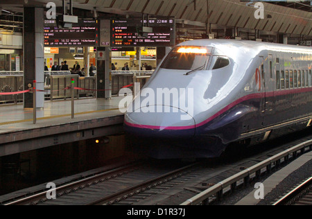 Il Tohoku Shinkansen E2 serie linea ferroviaria ad alta velocità alla Stazione di Tokyo Giappone Foto Stock