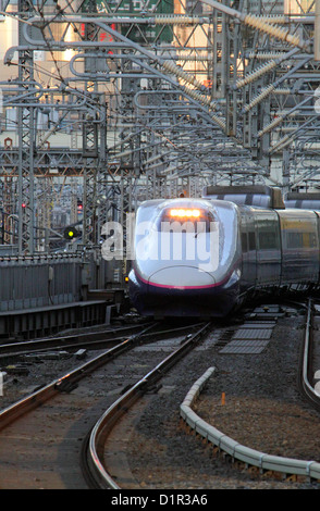 Il Tohoku Shinkansen E2 serie linea ferroviaria ad alta velocità arriva alla Stazione di Tokyo Giappone Foto Stock