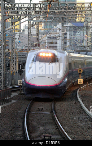 Il Tohoku Shinkansen E2 serie linea ferroviaria ad alta velocità arriva alla Stazione di Tokyo Giappone Foto Stock