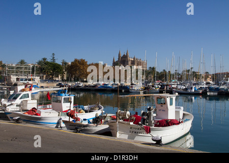 Palma de Mallorca Cattedrale porto isole baleari Spagna Foto Stock