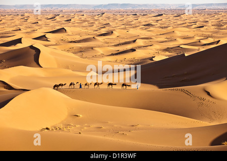 Il Marocco, M'Hamid, Erg Chigaga dune di sabbia. Deserto del Sahara. I driver del cammello e camel caravan. Foto Stock