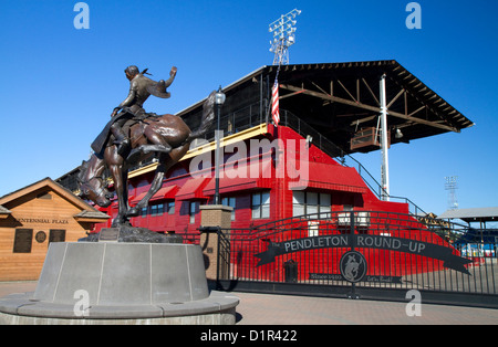 Strappi in bronzo statua equestre al Centennial Plaza in Pendleton, Oregon, Stati Uniti d'America. Foto Stock