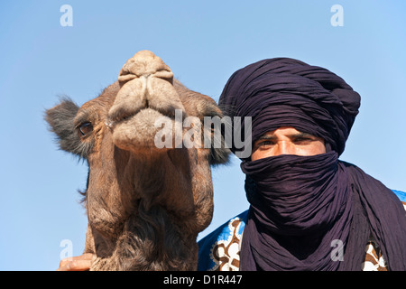 Il Marocco, M'Hamid, Erg Chigaga. Deserto del Sahara. Il cammello e il camel-driver. Foto Stock