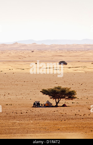 Il Marocco, M'Hamid, Erg Chigaga dune di sabbia. Deserto del Sahara. I turisti rilassante in ombra di acacia. Foto Stock