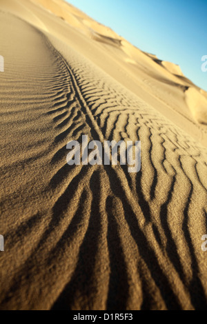 Il Marocco, M'Hamid, Erg Chigaga dune di sabbia. Deserto del Sahara. Dettaglio ripple marks. Foto Stock