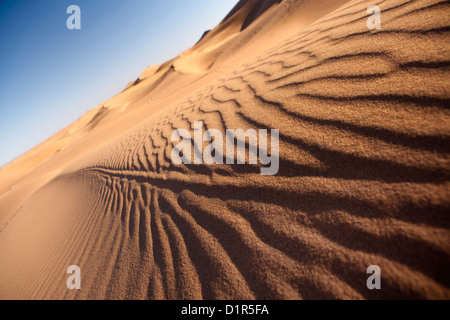 Il Marocco, M'Hamid, Erg Chigaga dune di sabbia. Deserto del Sahara. Dettaglio ripple marks. Foto Stock