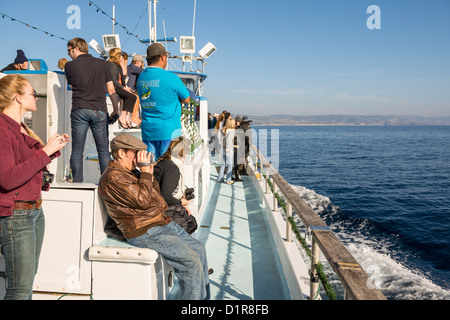 Whale watching al largo di Newport Beach in California. Foto Stock