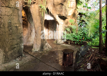 Le grotte artificiali all'interno del sud americana dome, Randers Regnskov zoo, Randers, Danimarca Foto Stock