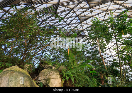 All'interno del sud americana dome, Randers Regnskov zoo, Randers, Danimarca Foto Stock