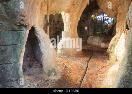 Le grotte artificiali all'interno del sud americana dome, Randers Regnskov zoo, Randers, Danimarca Foto Stock