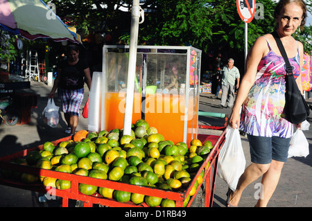 Succo di mandarino .Plaza Civica - Los Libertadores in Neiva. Dipartimento di Huila. COLOMBIA Foto Stock