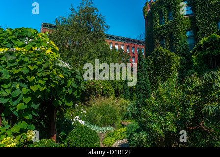 New York City, NY, Stati Uniti, East Village, E. 6th St., Urban Botanical Community Garden Scenic, Summer, quartieri locali, urbanizzazione della biodiversità Foto Stock