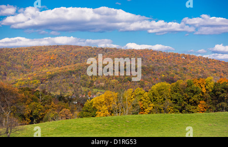 DELAPLANE, Virginia, Stati Uniti d'America - Sky prati del parco statale. Foto Stock