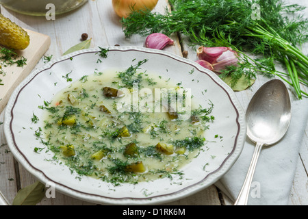 Close-up di piastra tradizionale di zuppa di cetriolo con aneto Foto Stock