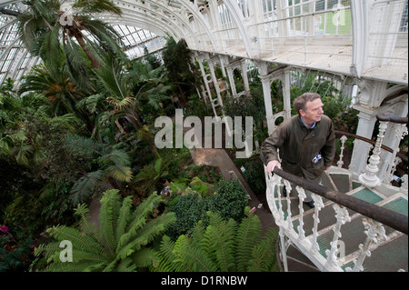 La casa temperate, il sito pubblica più grande serra. Kew Gardens di Kew, Londra, 02 gennaio 2012. Foto Stock