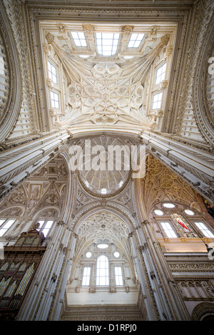 Cattedrale di Cordoba interno, attraversando la cupola nervata e soffitto a volta del transetto a Cordoba, Spagna. Foto Stock