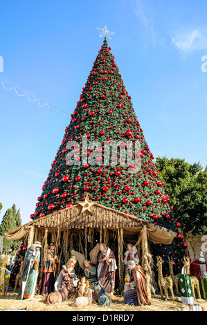 Albero di Natale sulla piazza di Betlemme, Palestina Foto Stock