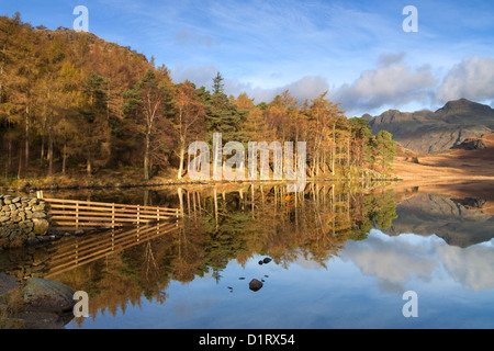 Blea Tarn, Little Langdale, Lake District, Cumbria, Regno Unito Foto Stock