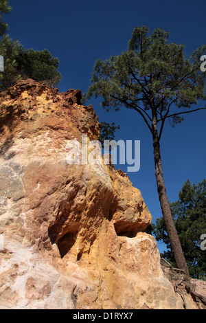 Scogliere ocra di Roussillon nel Luberon, Provenza, Francia Foto Stock