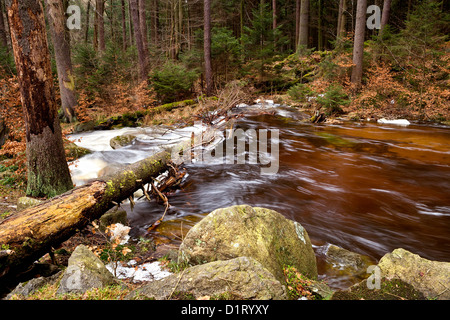Fast fiume di montagna nelle montagne Harz con lunga esposizione Foto Stock