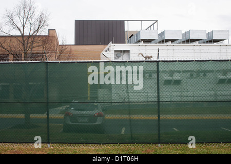 Un centro dati complesso gestito da VADATA, Inc, filiale di Amazon.com, a Chantilly, Virginia. Foto Stock