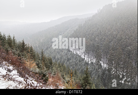 Tempesta di neve nelle montagne Harz durante il periodo invernale Foto Stock