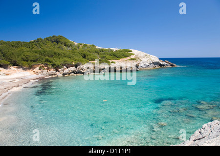 Artà, Maiorca, isole Baleari, Spagna. Cane a nuotare in acque turchesi di Cala Matzoc. Foto Stock