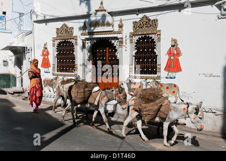 Un indiano lavoratore di sesso femminile in un sari mandrie di asini che trasportano le macerie in sacchi passato Hindhu tempio con un murale sulla parete in Udaipur Foto Stock