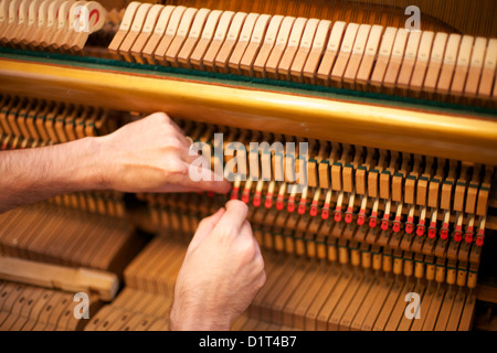 L'uomo tuning pianoforte Foto Stock