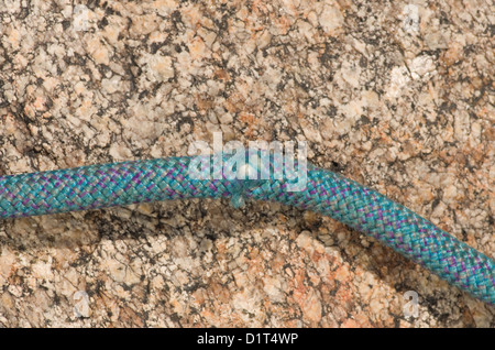 Core shot arrampicata corda danneggiato da una caduta massi di granito con sfondo Foto Stock