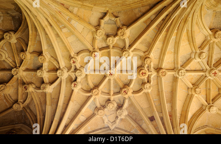 Decorate il soffitto a volta Convento de San Marcos, Hostal de San Marcos. Leon, Castilla y Leon, Spagna 04LUG12 Foto Stock