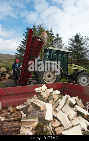 Catasta di legna da ardere proveniente dal trattore powered sawbench e sdoppiatore Foto Stock