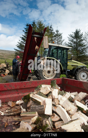 Catasta di legna da ardere proveniente dal trattore powered sawbench e splitter, Cumbria, Regno Unito Foto Stock