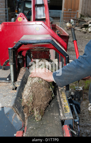 Forestazione legname di caricamento su una registrazione e banco di splitter. Foto Stock