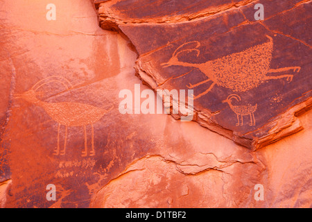 Incisioni rupestri in Monument Valley, Arizona, Stati Uniti d'America Foto Stock