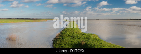 Il fiume Nene inondazioni Whittlesey lavaggi, vicino a Dog-in-a-doppietto Bridge, nelle paludi tra Peterborough e Whittlesey Foto Stock