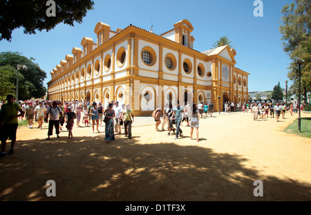 Jerez de la Frontera, Spagna, visitatori dal reale andalusa di equitazione Scuola d'arte Foto Stock