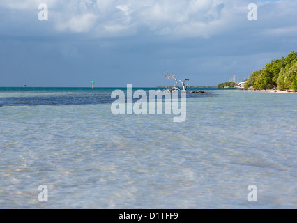 Anne's Beach da strada in Florida Keys dal percorso 1 Overseas Highway Foto Stock