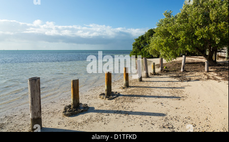 Anne's Beach da strada in Florida Keys dal percorso 1 Overseas Highway Foto Stock