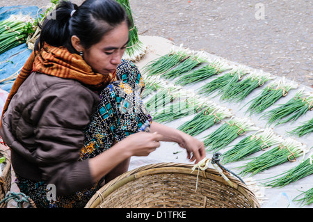 LUANG PRABANG, Laos - il vivace mercato mattutino di Luang Prabang, Laos, presenta una vibrante gamma di prodotti freschi, prelibatezze locali e prodotti tradizionali. Venditori e acquirenti si mescolano tra una variegata varietà di frutta, verdura, erbe aromatiche e altri piatti tipici della cucina laotiana, offrendo uno sguardo alla vita quotidiana e alla cultura gastronomica locale. Foto Stock