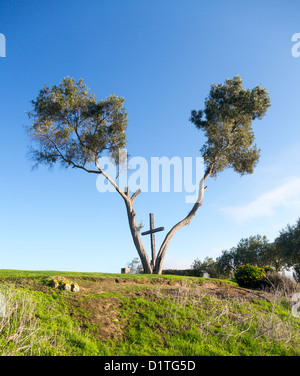 Croce di Serra di Grant Park a Ventura California impostato tra la forcella nella struttura ad albero sulla si affacciano Foto Stock