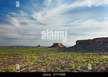 Vista delle terrazze Ugab dal dito di roccia in Damaraland in Namibia Foto Stock