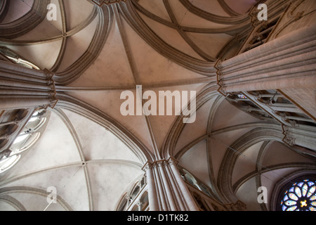 St Peters Cattedrale; Ginevra; Svizzera; l'Europa Foto Stock