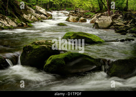 Fiume che scorre Cascades sul polo centrale piccolo fiume Foto Stock