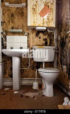 Un lurido bagno con pareti moudly Foto Stock