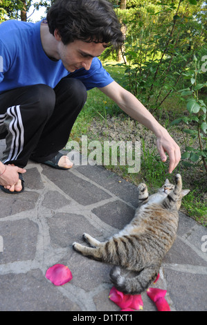 Verucchio (Rimini), cute cat Foto Stock