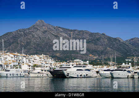 Spagna, Andalusia - Puerto Banus a Marbella, Costa del Sol. Porto degli Yacht. Marbella montagne dietro. Foto Stock